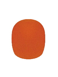 WS10 Orange